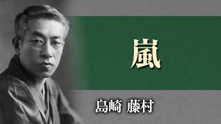 【朗読】島崎藤村「嵐」【プロ声優】