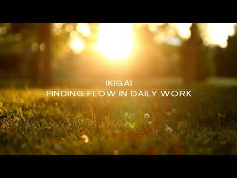 Finding Flow in Daily Work