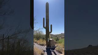 Cactus cell tower EXPLAINED