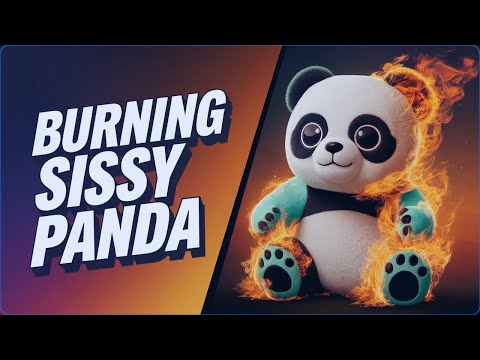 The Tragic Story of the Sissy Panda Squishmallow