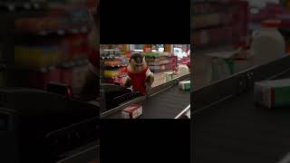 Why is there a MONKEY at the register?! 🐒💳  #ai#shorts #fyp