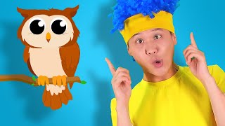 Caw, Caw | D Billions Kids Songs
