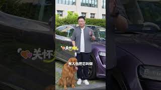 带宠物出门，短暂离车一会儿该怎么办？今天给大家分享鸿蒙智行的关怀模式！#华为 #华为pura80#华为科技 #华强北