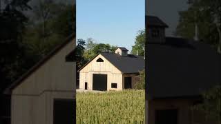 Timber barndominium