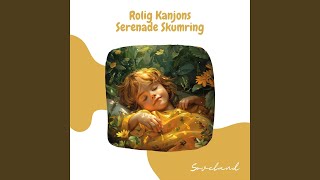 Rolig Kanjons Serenade Skumring