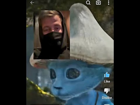Alan Walker uploaded Smurf Cat videos - Compilation