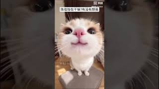 #求火 #求点赞