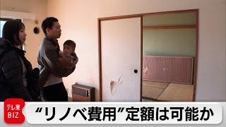 定額制リノベーションで価格透明化は？業界の“ブラックボックス”に挑む新サービス【ガイアの夜明け】