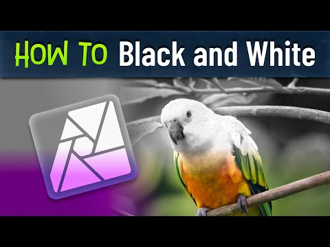 How to Make Black and White Photos in Affinity Photo – Step-by-Step Tutorial