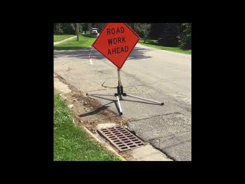 A Tribute To An Iconic Vine