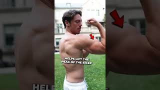 Best Chin Up Variation For Huge Biceps: The Commando Chin Up