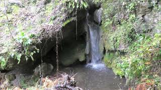 LA VIORNA MENDIA  (Potes ).