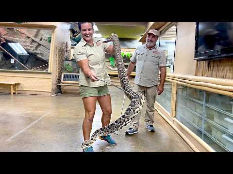 Learning to Handle VENOMOUS SNAKES🐍😱"