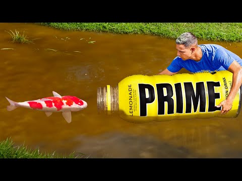 PRIME BOTTLE CATCHES RARE FISH