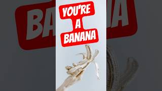 You're a banana #atomicbombsurvivor #historyuncovered #mindblowingfacts #truestory