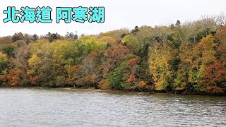 日本北海道 阿寒湖紅葉 綠球藻觀察中心