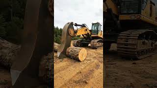 Amazing 😍 #timber #woodcut #logging #treecare #tree