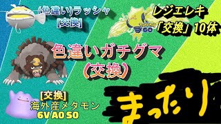 「うっほうっほ」　数体限定 色違いガチグマ (ヘイラッシャ色違い)配布   レジエレキポケGO産 海外産 6V S0 A0メタモン配布「Pokémon」「ポケモンSV」 7月28日　配布ライブ