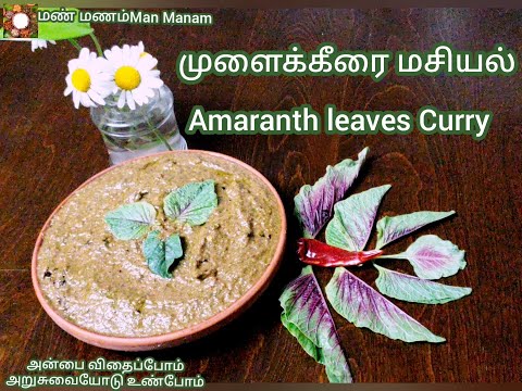 MulaiKeerai Masiyal Recipe | Amaranth Curry Recipe |முளைக்கீரை மசியல் | Sigappu Mulai keerai | Tamil