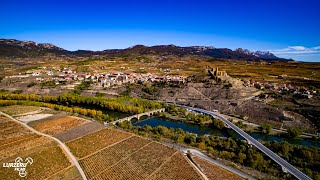 DRONE FUTURE / Viña Ijalba - Un entorno natural