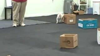 Frisky - Intro to NW (Week 1)