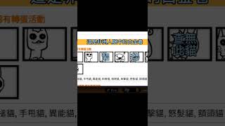 白金卷現狀： #貓咪大戰爭 #白金卷