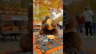 Bigfoot's Picnic in Central Park #quicklaughs #facts #snackablehumor #funny #comedyshorts