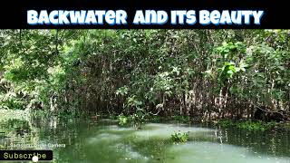 Backwater Beauty