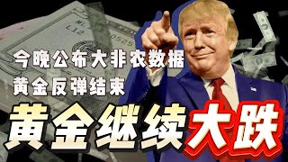 今晚公布大非农数据，黄金反弹结束，今天继续大跌！#黄金 #金价 #今日金价 #国际金价 #财经 #外汇 #外汇交易 #外汇分析 #熱门