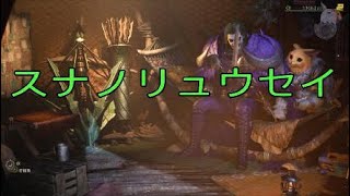 モンハンワイルズ　スナノリュウセイ