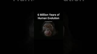 6 million years of human evolution #short #shorts