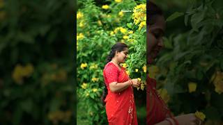 #youtubeshots #shots