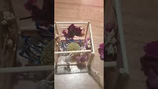 #craft #tapeart #driedflowers .