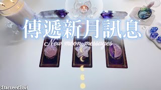 🧡塔羅占卜|🌙獅子新月傳訊(Timeless)