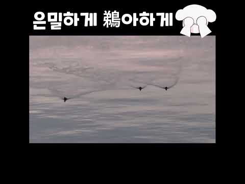 은밀하게 鵜아하게☺(도쿄노총각의시선)