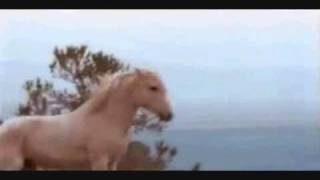 The Untamed - Wild Horse RPG