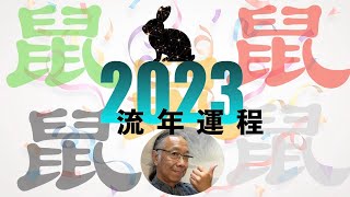 2023 癸卯年黑兔流年運程剖析，因應五個天干不同年份生肖屬鼠的運程，更精細更精闢