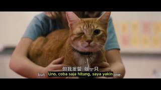 Nonton Gifted 2017 Film Subtitle Indonesia