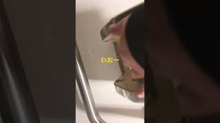 マジヘルプ　#youtube #おすすめ #tiktok #トイレットペーパーチャレンジ