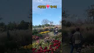 #새콤달콤 #박서진 #순천만 국가정원