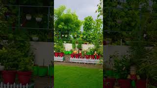 my Peaceful diy Garden Overview 🪴🌸 #nature #geetvibes11#yt #youtubeshorts#asmr#orchid