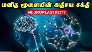 மனித மூளையின் அதிசய சக்தி | Neuroplasticity | Brain's Super Power In Tamil