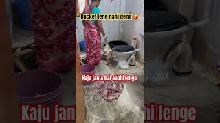Garala Patti🥺🥺 #love #trending #pug #pets #petlover #cute #youtubeshorts #subscribe #viralvideo