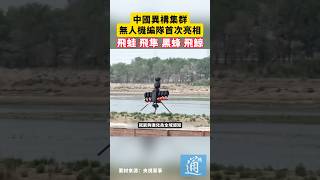中國異構集群無人機編隊首次亮相：飛蛙、飛隼、黑蜂、飛鯨#無人機 #中國 #科技
