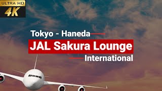 [4k] Japan Airlines Sakura Lounge Haneda Tokyo Airport | Japan airline Business Lounge