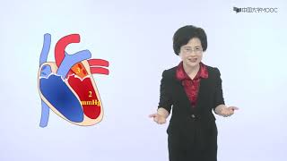 第4章 血液循环 | 心脏的泵血功能 - 心脏的泵血机制