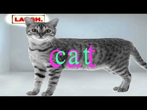 comedy meme video [LIKE N SUBSCRIBE]