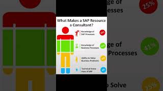 Being a SAP Consultant |  #sap #sapmm #sappp #sappm #sapsd #sapfico #sapabap  #saps4hana