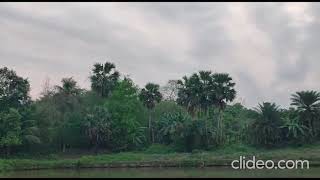 Relaxing music with Nature..