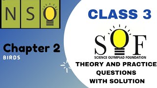 CLASS 3 NSO CHAPTER 2 BIRDS PRACTICE QUESTIONS